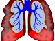 Image of lungs.