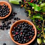 superfood maqui berry. superfoods antioxidant of indian mapuche, chile. bowl of fresh maqui berry and maqui berry tree branch on metal background, top view.