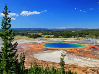 Grand Prismatic Spring, Yellowstone National park in Wyoming. USA. Source of SRBs (sulphate-reducing bacteria).
