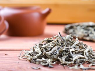 56293649 - chinese pressed white tea, silver needle. selective focus