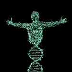 Image of a man made from DNA helix. Genotyping