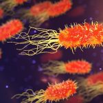 Bacteria and Archaea monitored in microbial risk management