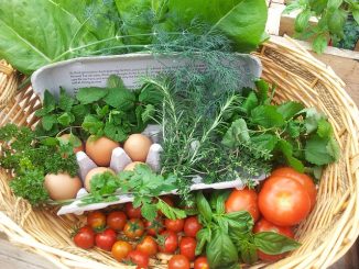 Fresh vegetables in a trug as an example of food sustainability