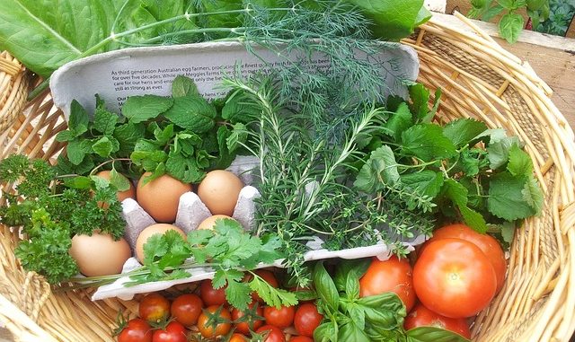 Fresh vegetables in a trug as an example of food sustainability