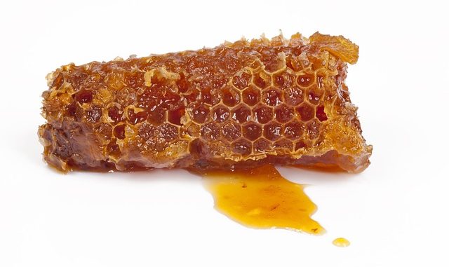Honeycomb made of bee propolis on a white background.