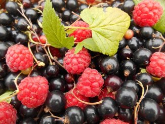 Fruit are wonderful sources of anthocyanins