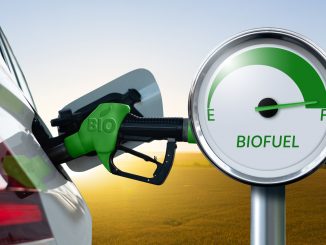 Biofule, Yarrowia lipolytica