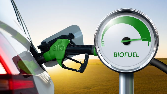 Biofule, Yarrowia lipolytica