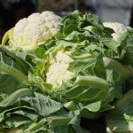 Cauliflower is one of our top vegan foods