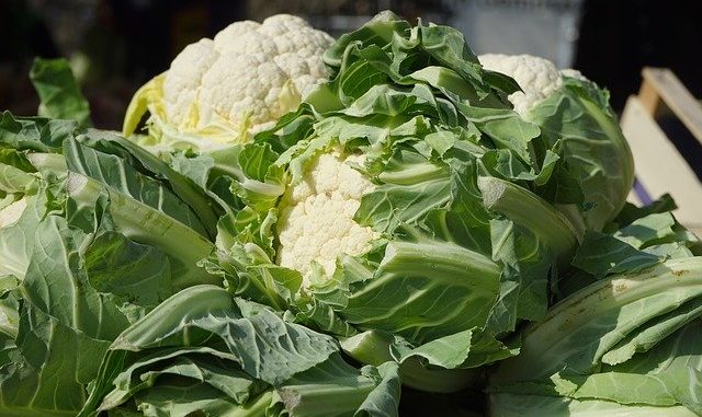 Cauliflower is one of our top vegan foods