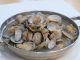 cyclina sinensis, clams in a bowl, asian cuisine