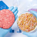 Burger putty in one hand and plant sprouts material in Petri dish. Laboratory vegetarian hamburger meat substitute concept. Impossible Foods has developed a similar looking burger.