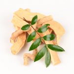 Tongkat Ali root and leaves