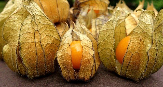 Cape gooseberry or physalis in a papery shell.