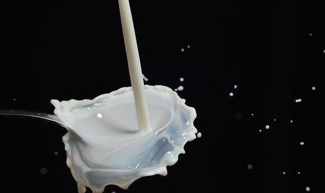 milk splash. whole milk may reduce obesity