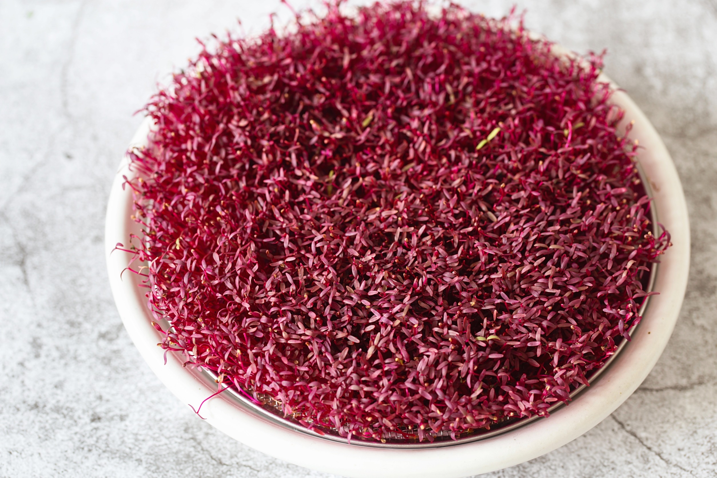 amaranth