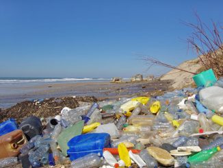 Plastic rubbish on a beach near the sea. A source of microplastics.