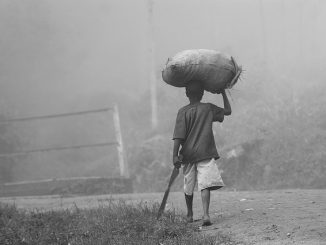 African farmer carrying harvest, ukazi