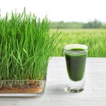 Glass of juice and wheatgrass field on background