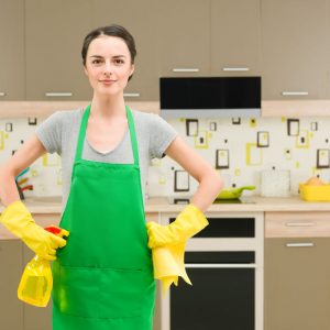 Domestic Surface Cleaners