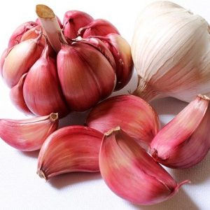 Garlic Supplements