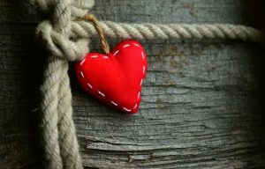 heart tied to a rope on a tree trunk