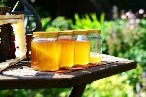 Honey in glass jars in a row on a table outside.