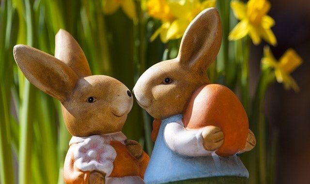 Does one of these bunnies have a vegan Easter egg?