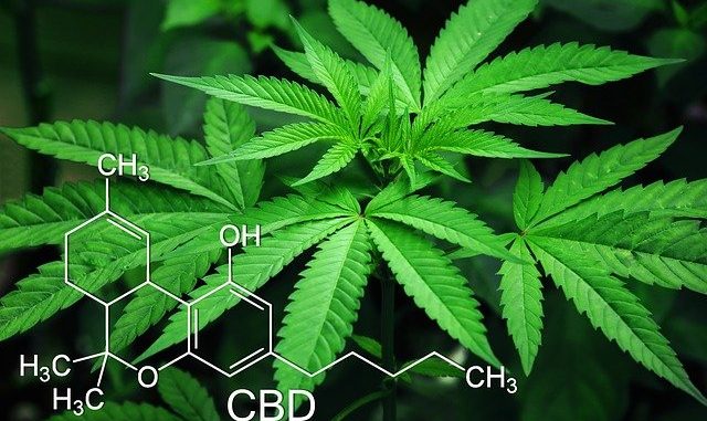 Cannabis, hemp, marijuana and a CBD molecule.