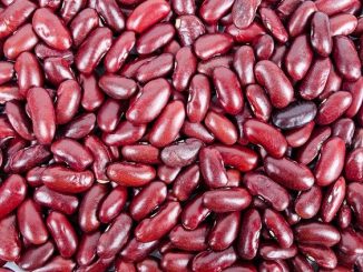 Red kidney beans contain lectins.