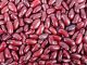 Red kidney beans contain lectins.