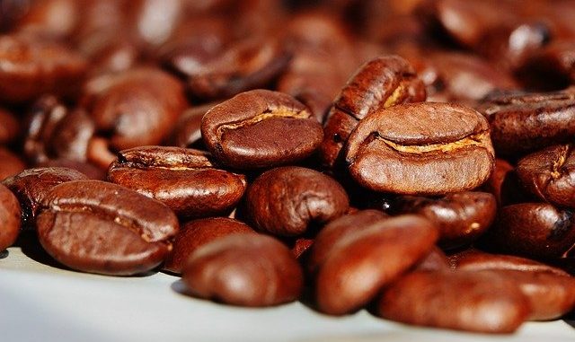 Different Types of Coffee beans