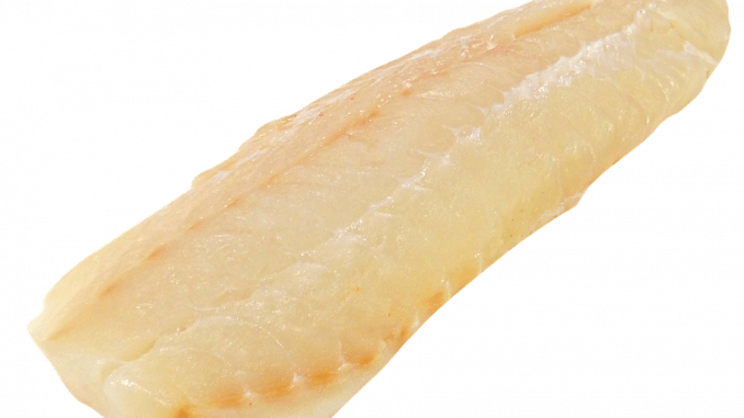 cod loin on white background