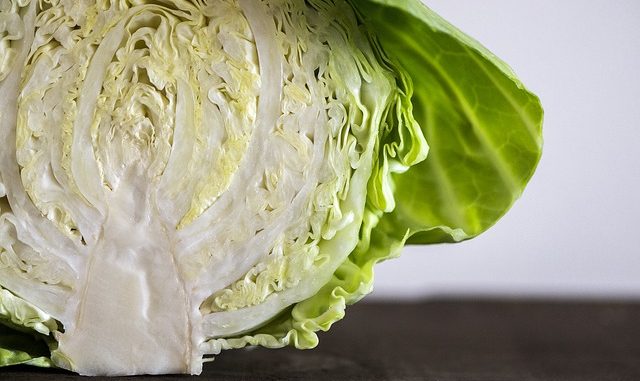 sliced white cabbage for braised cabbage dishes