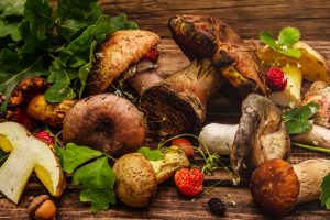 Fresh forest mushrooms. Assorted porcini, boletus, russula, blusher, oak leaves, strawberries. Old wood plank background, close up
