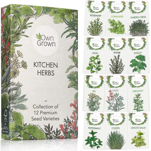 Kitchen Herb Seed Set: 12 Varieties of Kitchen Herbs as Practical Herb Seed Mix, Spice Seeds and Herb Set for Kitchen, Garden and Balcony - Eco Friendly...