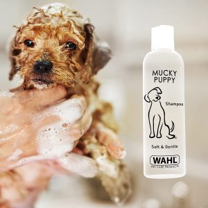 Wahl Mucky Puppy Shampoo, Dog Shampoo, Shampoo for Pets, Gentle Pet Friendly Formula, Sensitive Skin, Shampoo for Young Animals, Ready-to-Use, Remove Dirt.