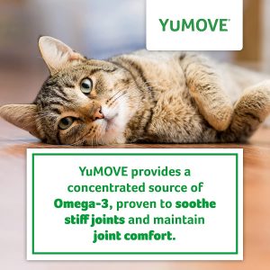 Lintbells | YuMOVE Cat | Hip and Joint Supplement for Stiff Cats, with Glucosamine, Chondroitin, Green Lipped Mussel, All Ages and Breeds | 60 Capsules