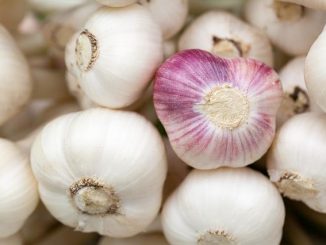 Garlic: Linguine with mushrooms and green garlic