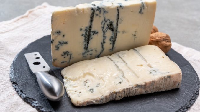 Italian food, buttery or firm blue cheese made from cow milk in Gorgonzola, Milan, Italy close up. raw material for pollo gorgonzola.