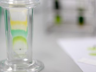 Chromatography - an example developing into expanded bed chromatography.