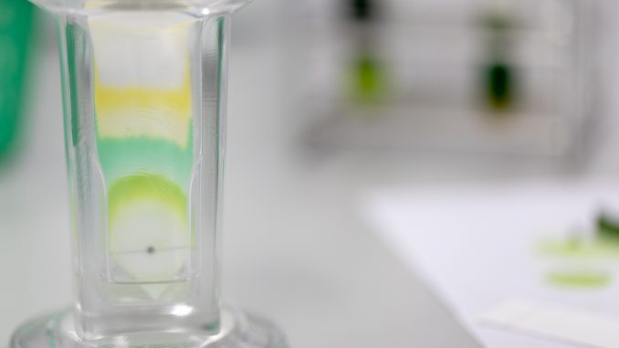 Chromatography - an example developing into expanded bed chromatography.