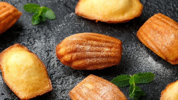 Madeleine French small cake, cookies shell on rustic background.