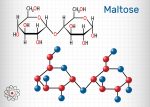 The structure of maltose.