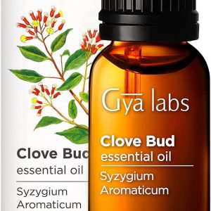 Gya Labs Clove Oil for Tooth Aches - 100% Pure and Natural Clove Essential Oil - Therapeutic Grade Clove Oil Essential Oil for Teeth, Gums & Hair Growth...