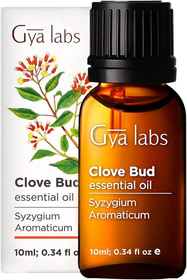 Gya Labs Clove Oil for Tooth Aches - 100% Pure and Natural Clove Essential Oil - Therapeutic Grade Clove Oil Essential Oil for Teeth, Gums & Hair Growth...