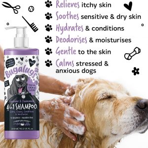 Dog Shampoo by Bugalugs lavender & chamomile 4 in 1 dog grooming shampoo products for smelly dogs with fragrance, best puppy shampoo, professional groom Vegan pet shampoo & conditioner (1 Litre)