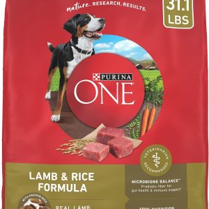 Purina ONE Dry Dog Food Lamb and Rice Formula - 31.1 lb. Bag