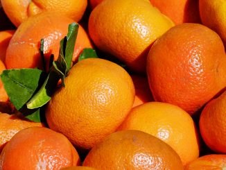 clementines/mandarins