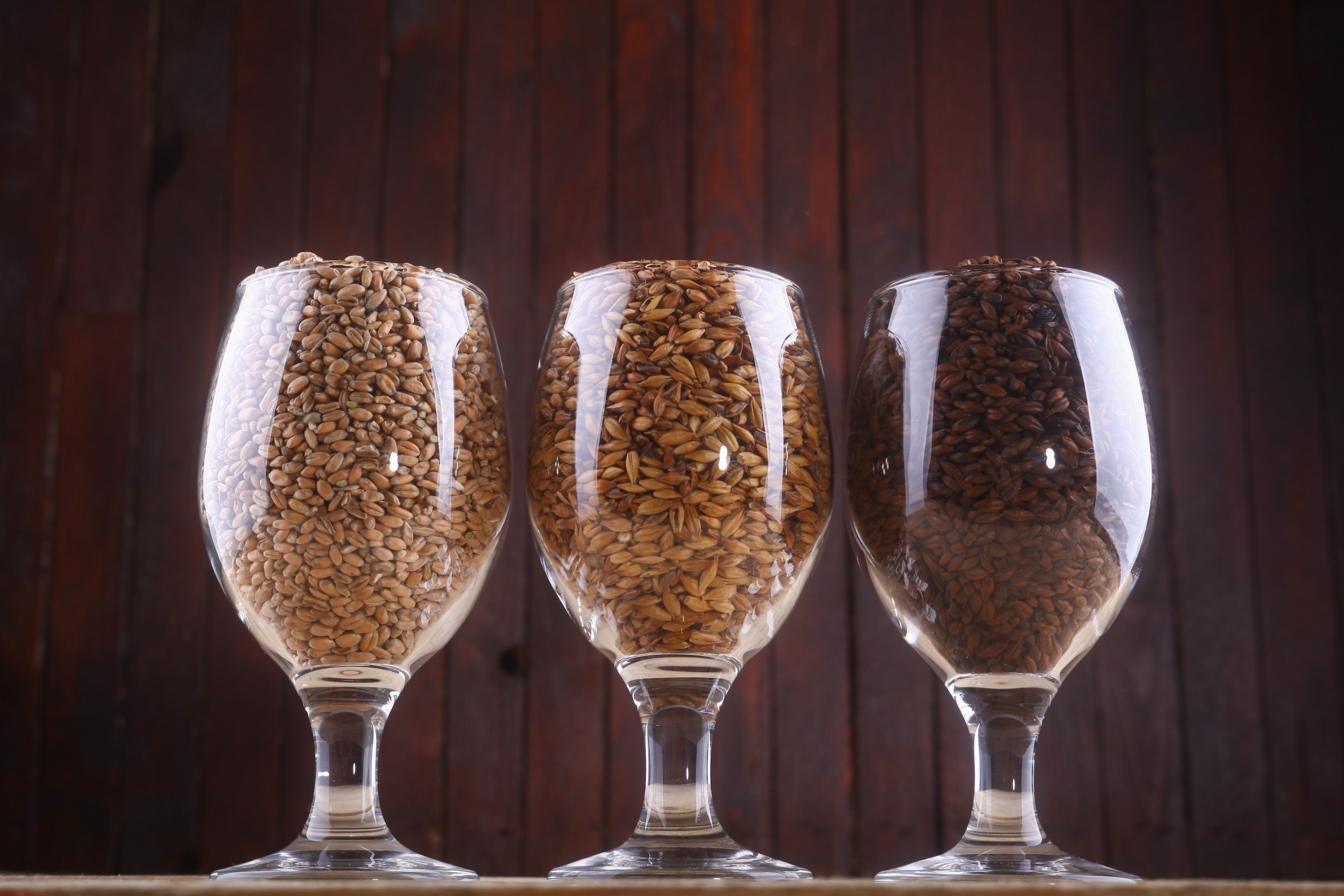 base malts in a glass on a black background.